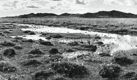 紅軍過草地有多艱險(xiǎn)